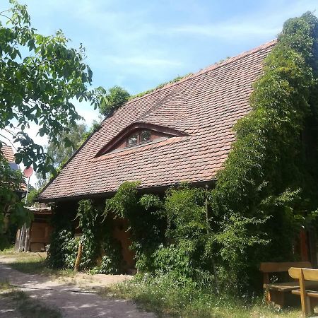 Holiday Home In Trebbin 2611 Dış mekan fotoğraf