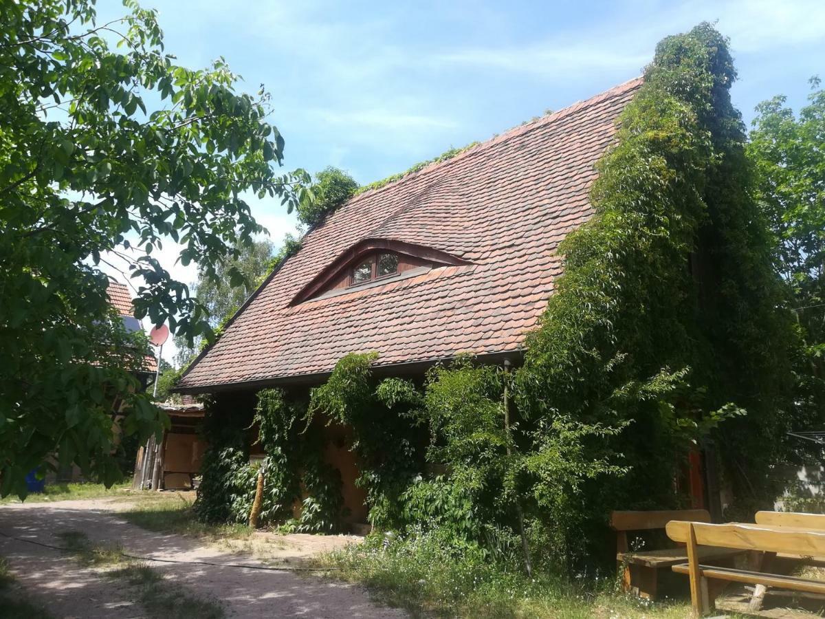 Holiday Home In Trebbin 2611 Dış mekan fotoğraf